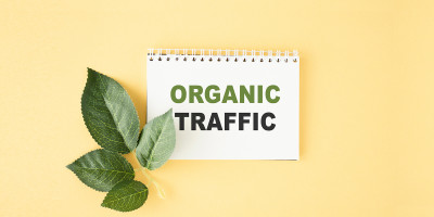 The Importance of Organic Website Traffic for Small Business